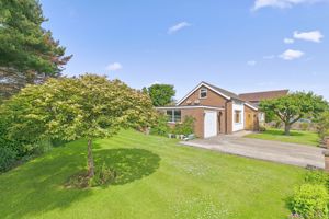 Photo 28- click for photo gallery